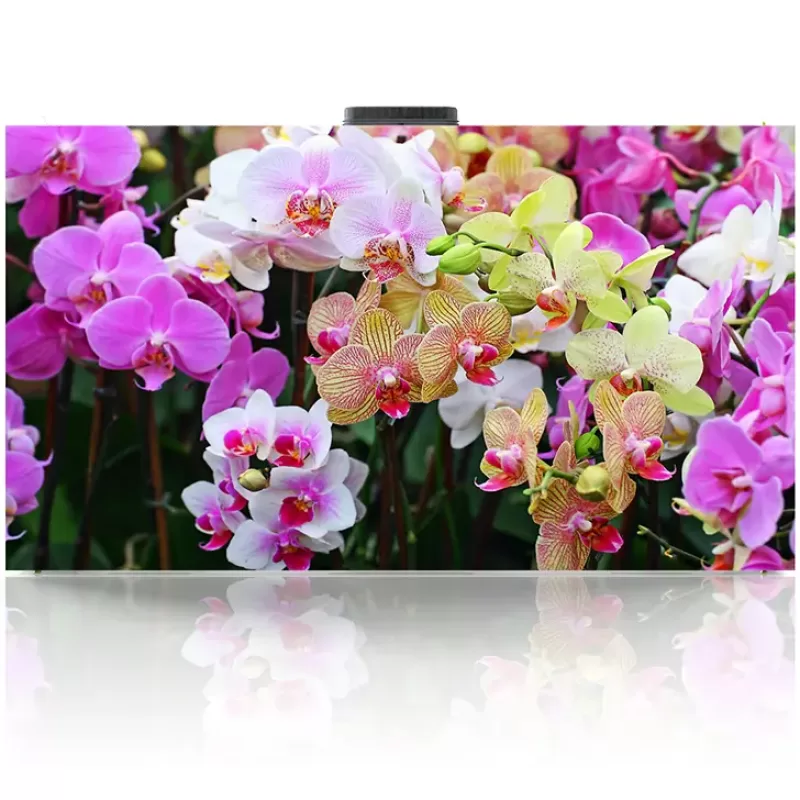 E Series-Fine Pitch LED Display